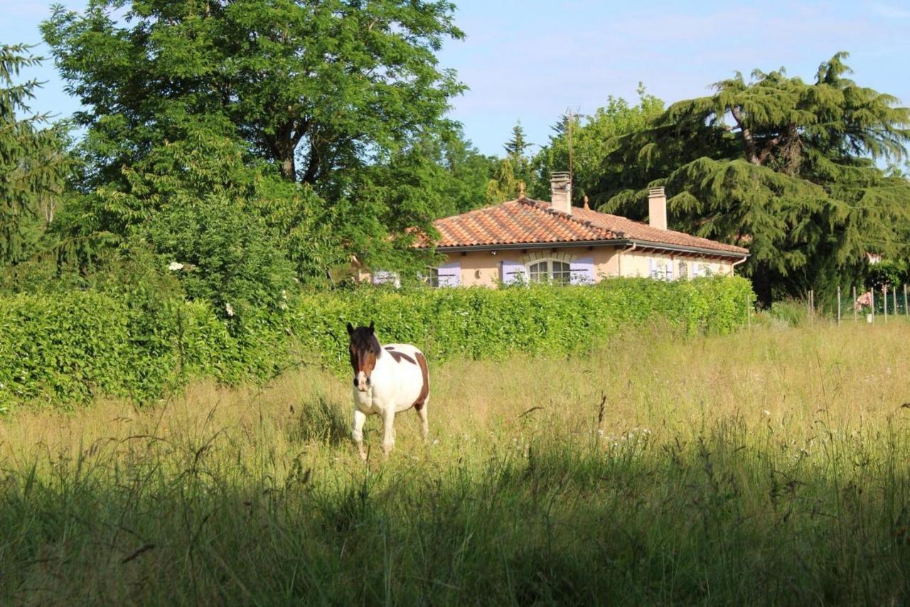 Gite De La Meronne Vindelle Zewnętrze zdjęcie